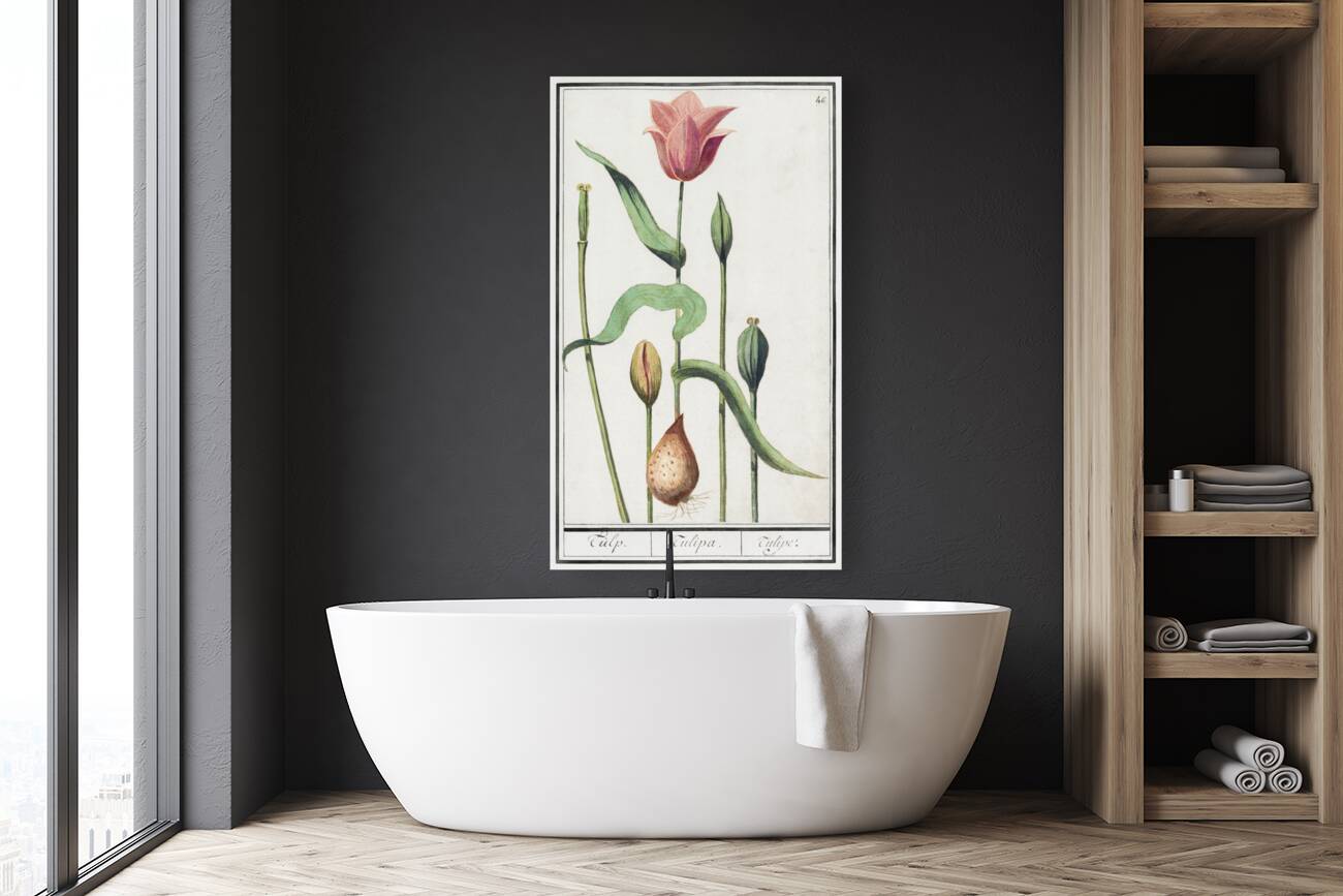 Tulip in vintage style Reproduction