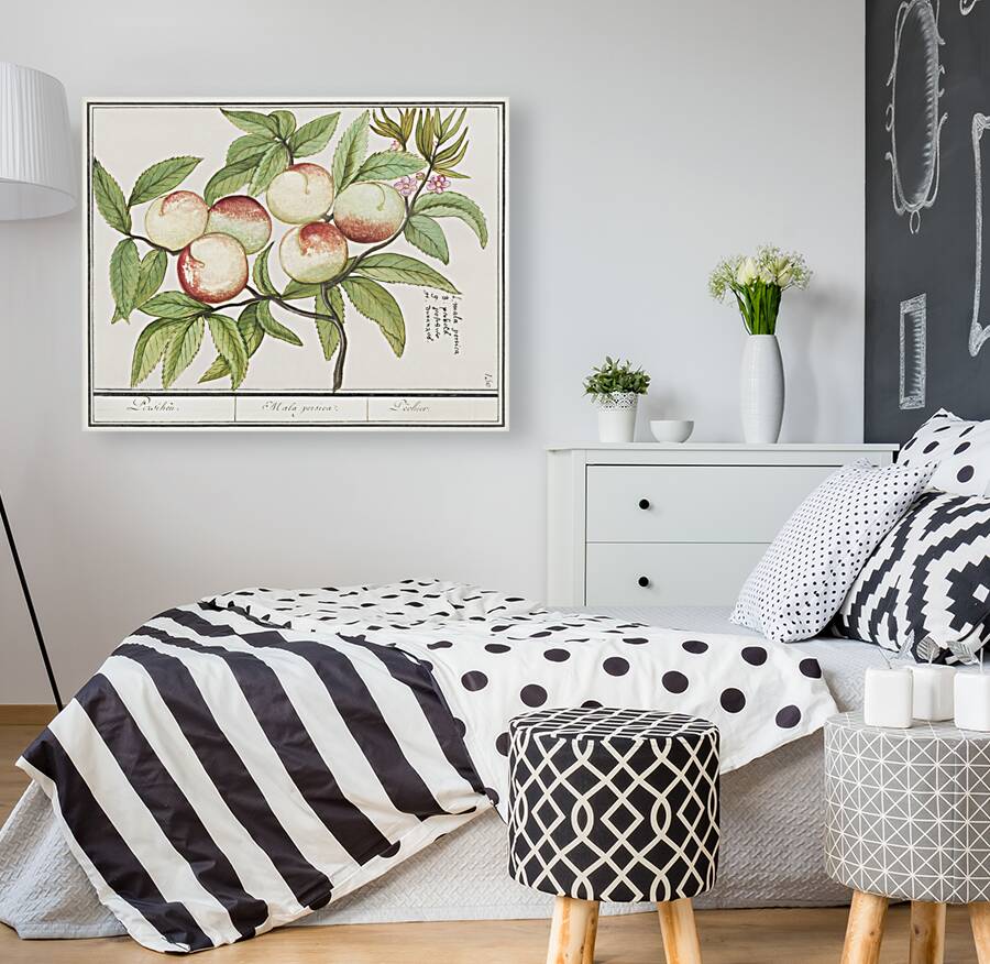 Tulip in vintage style Reproduction