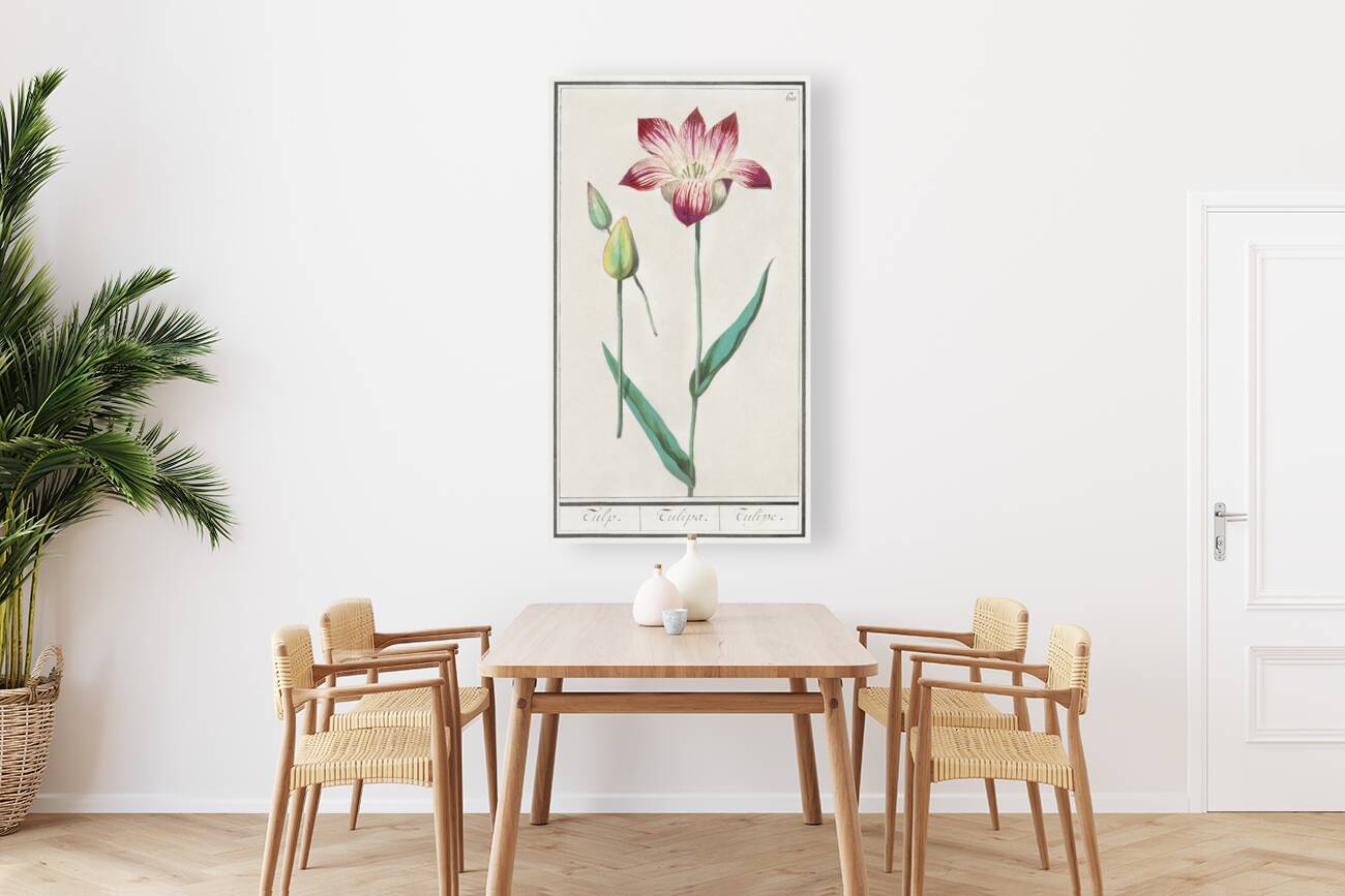Tulip in vintage style Reproduction