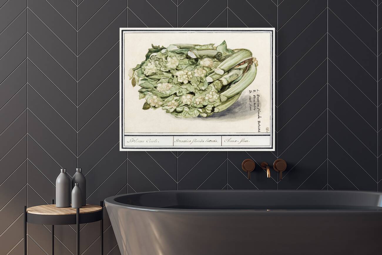 Cauliflower in vintage style Reproduction