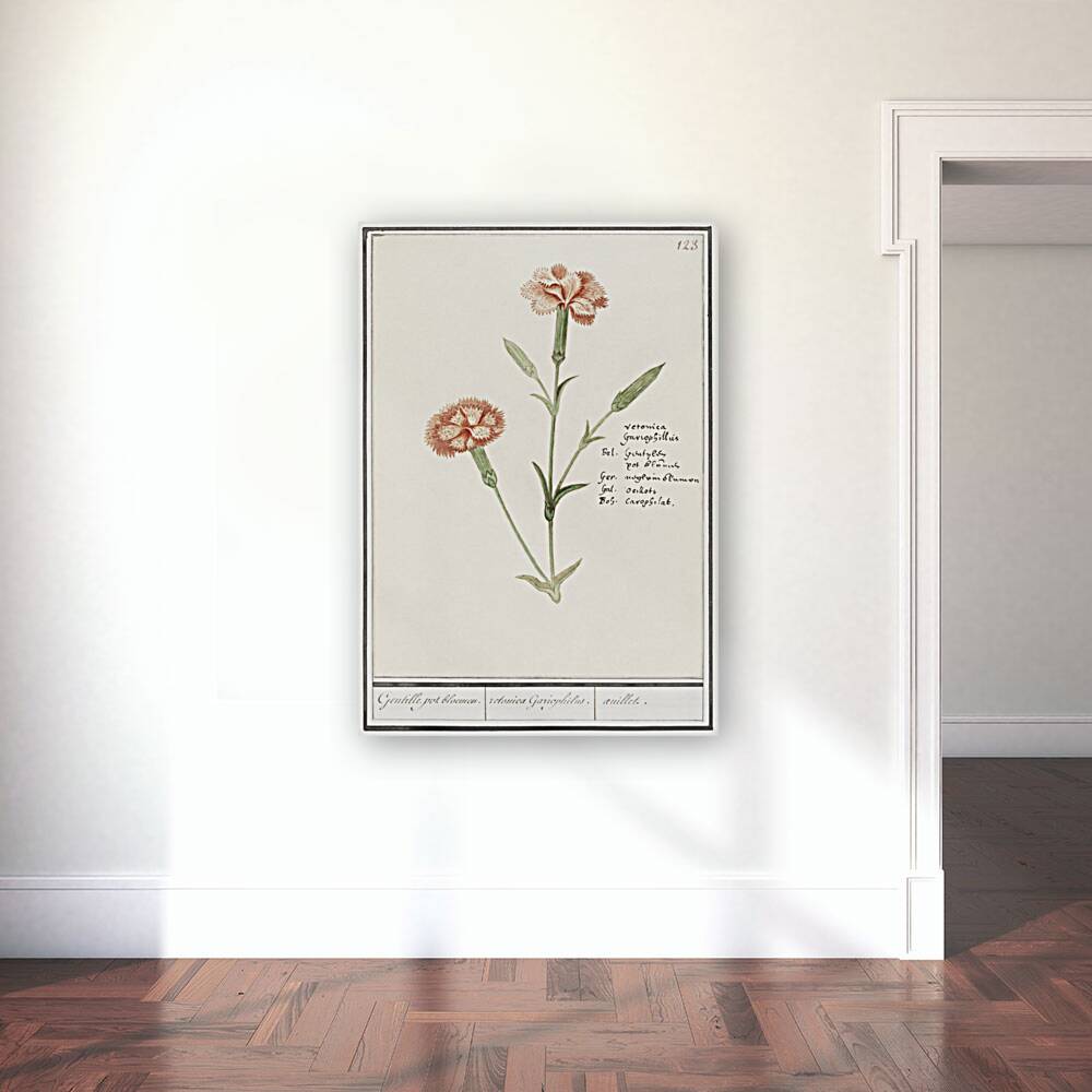 Carnation in vintage style Reproduction