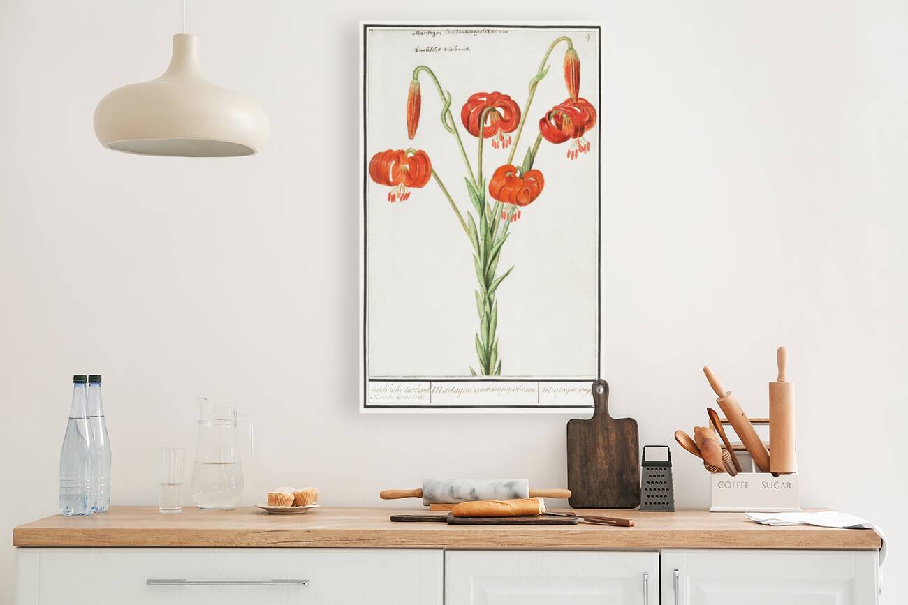 Red lily in vintage style Reproduction