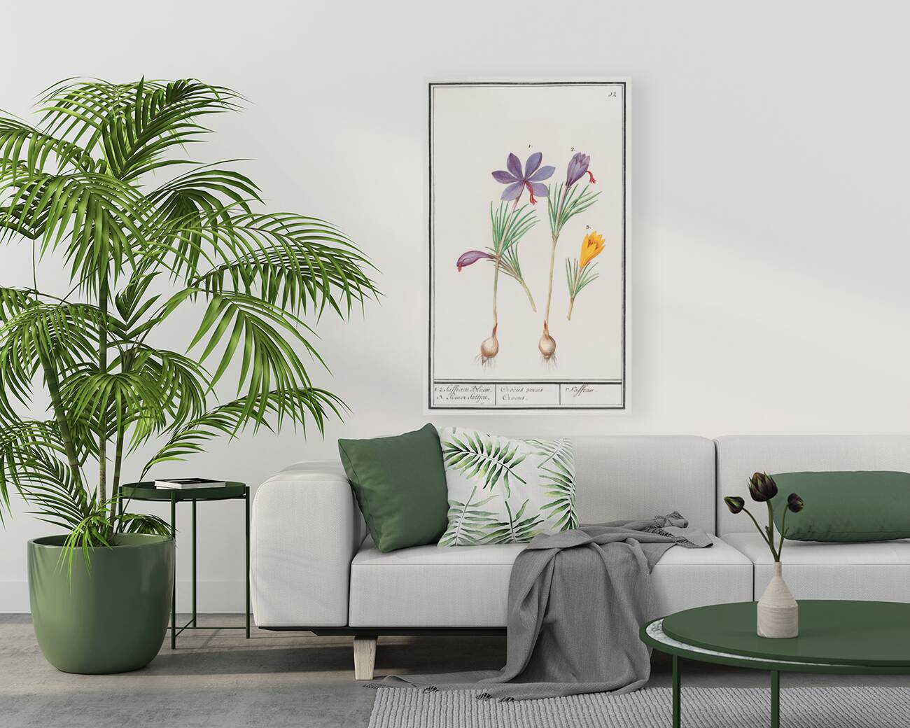 Saffron flower and yellow crocus Reproduction