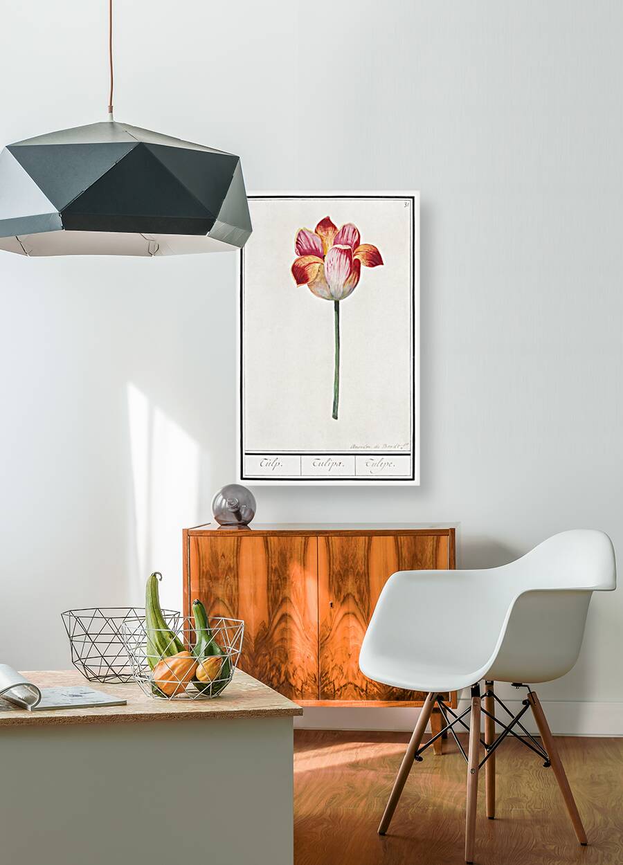 Tulip in vintage style Reproduction