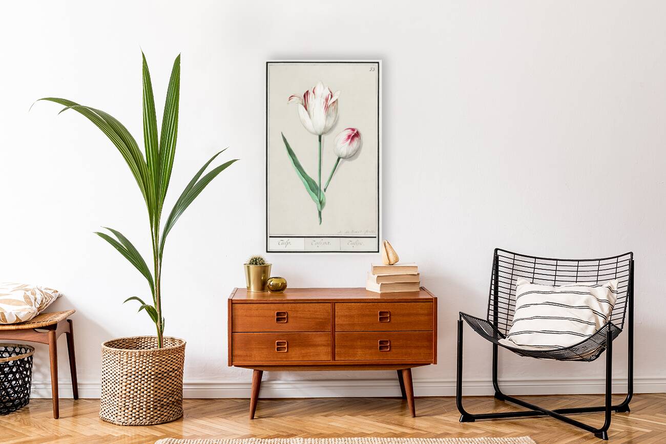 Tulip in vintage style Reproduction