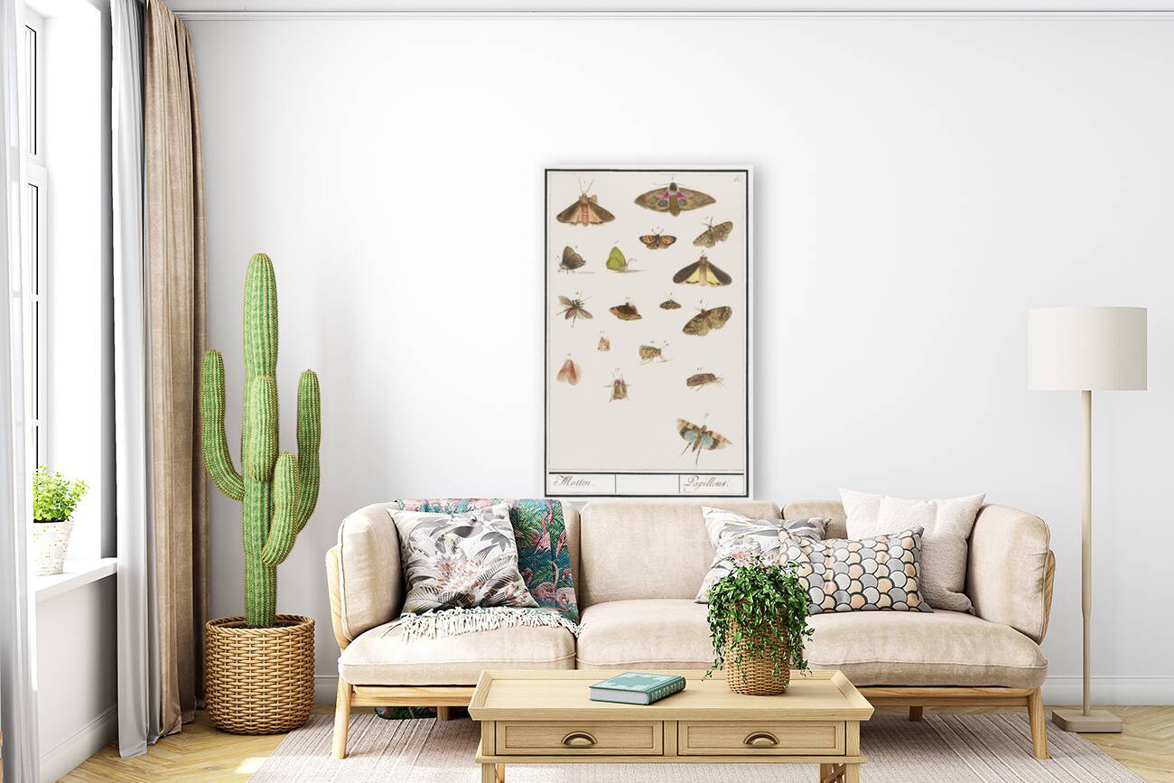 Butterflies and moths set Reproduction