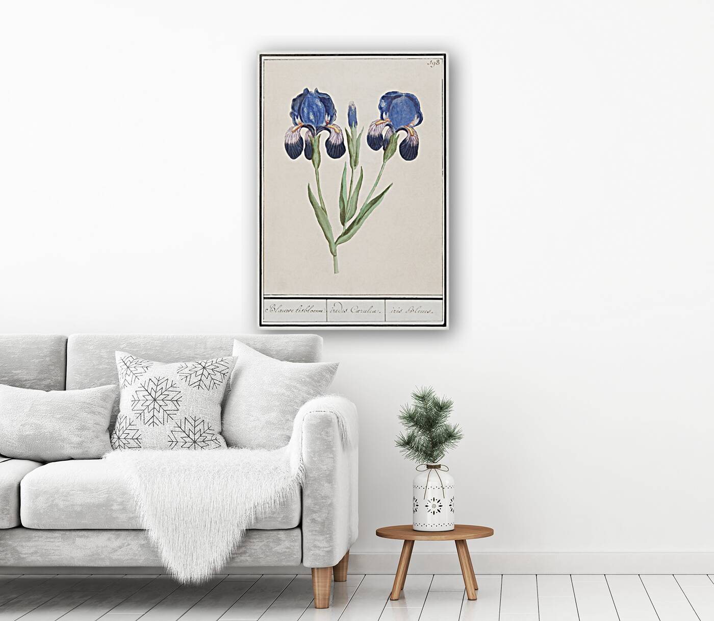 Purple iris in vintage style Reproduction