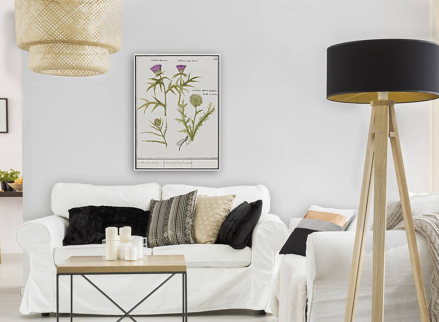 Thistle and artichoke Reproduction