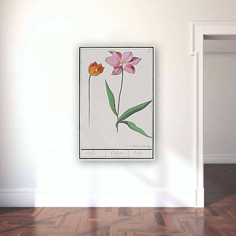 Tulip in vintage style Reproduction