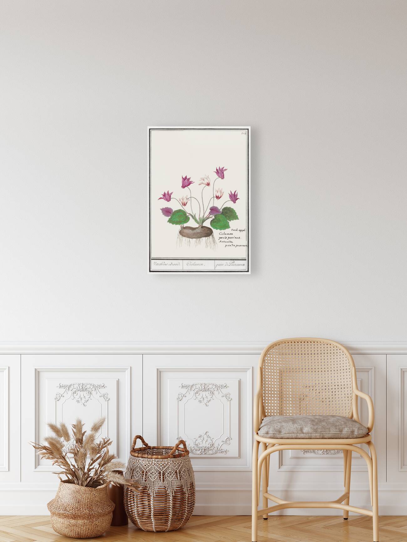 Cyclamen in vintage style Reproduction