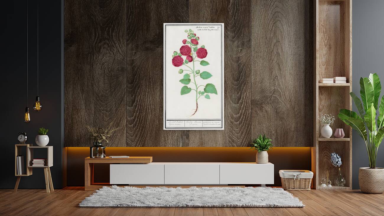 Cyclamen in vintage style Reproduction