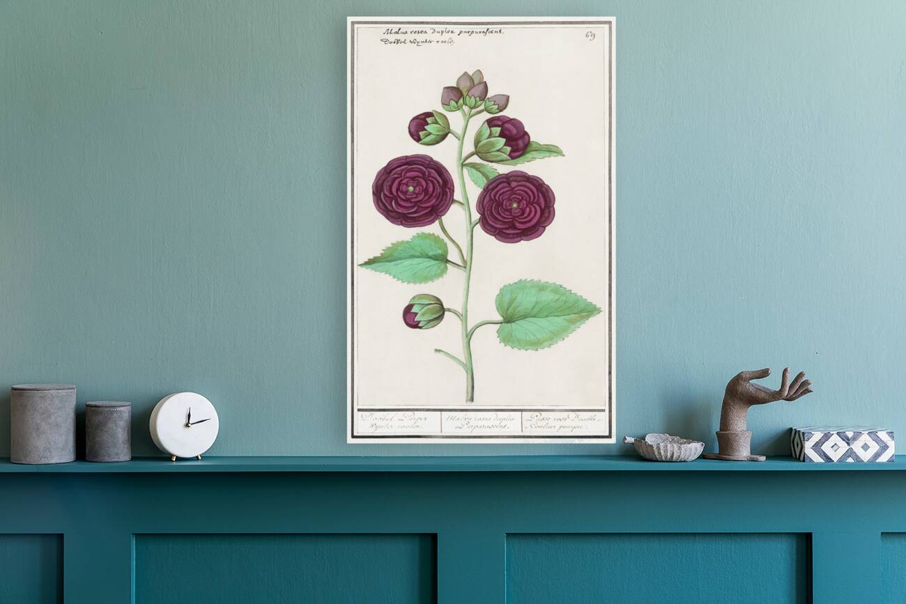 Alcea in vintage style Reproduction