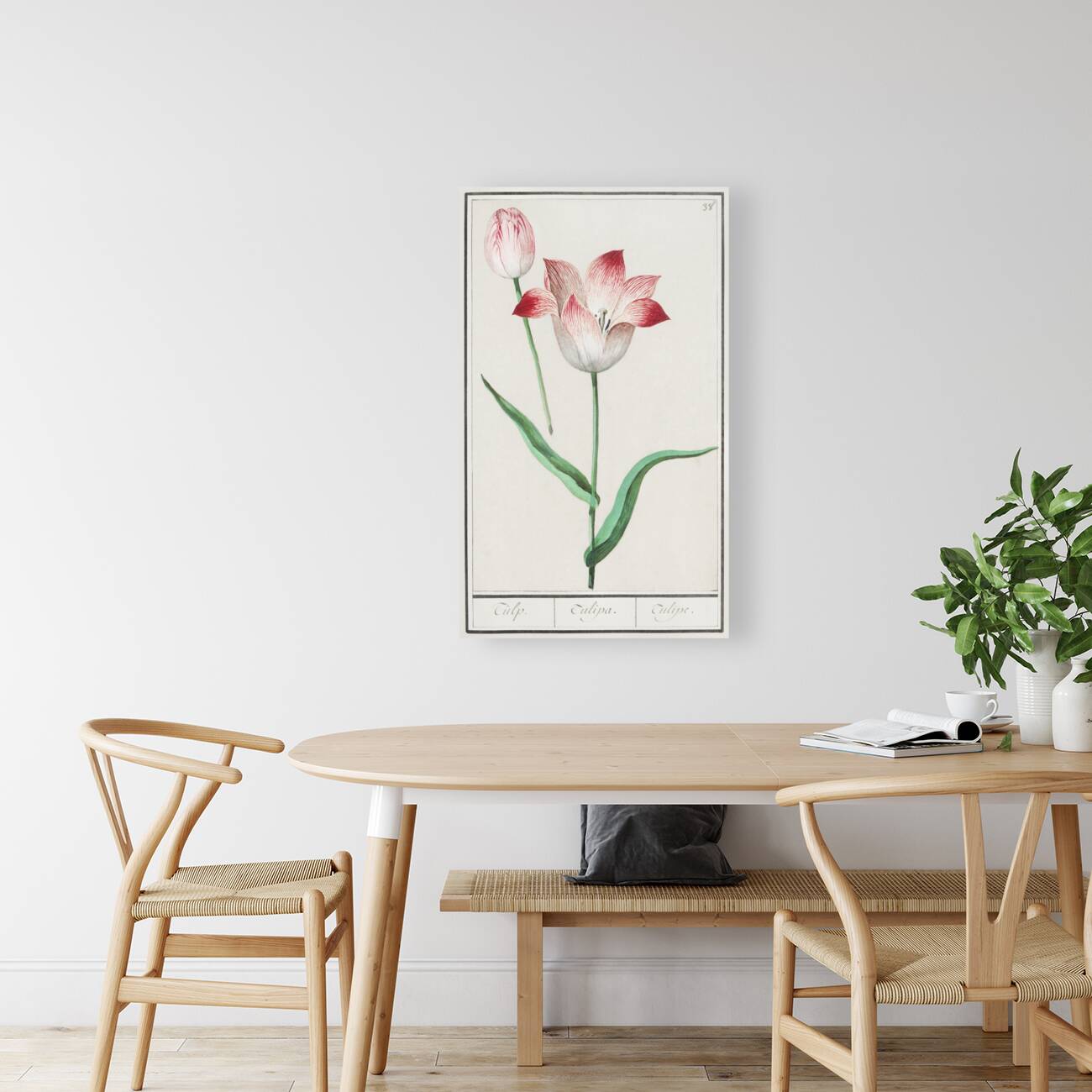 Tulip in vintage style Reproduction