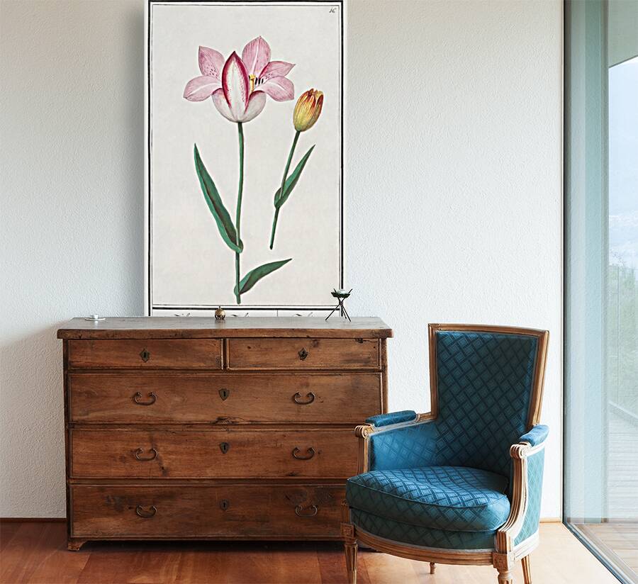 Tulip in vintage style Reproduction