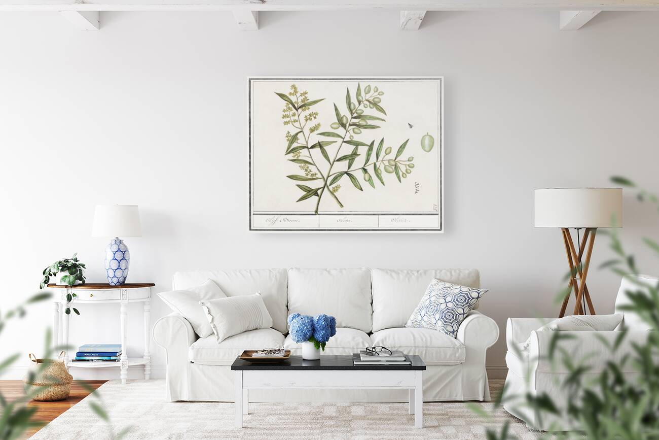 Olive in vintage style Reproduction