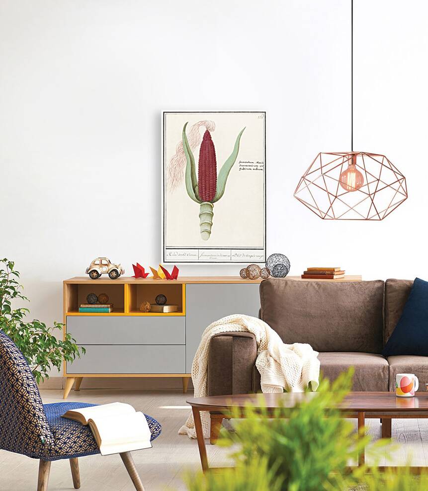 Maize in vintage style Reproduction