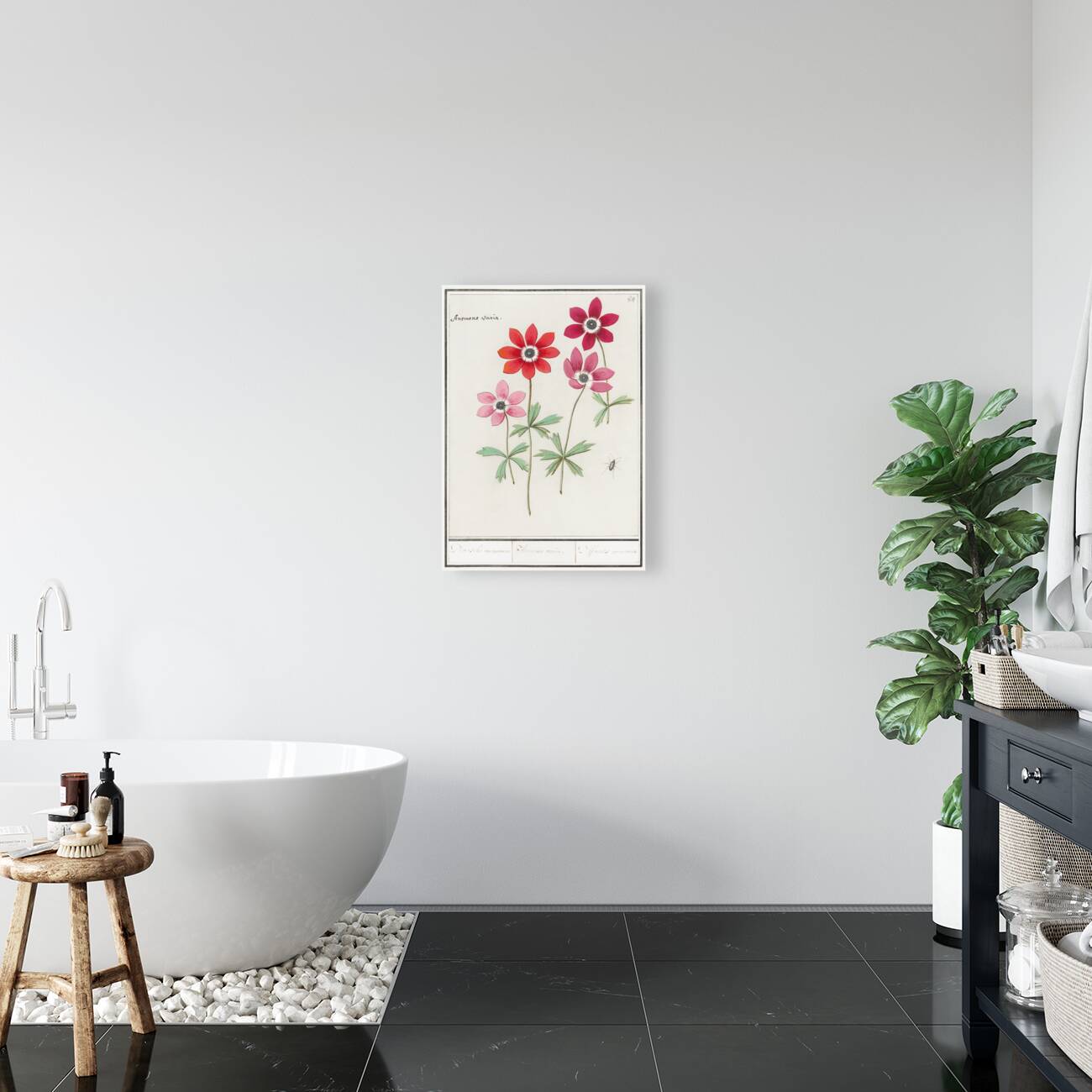 Anemone in vintage style Reproduction