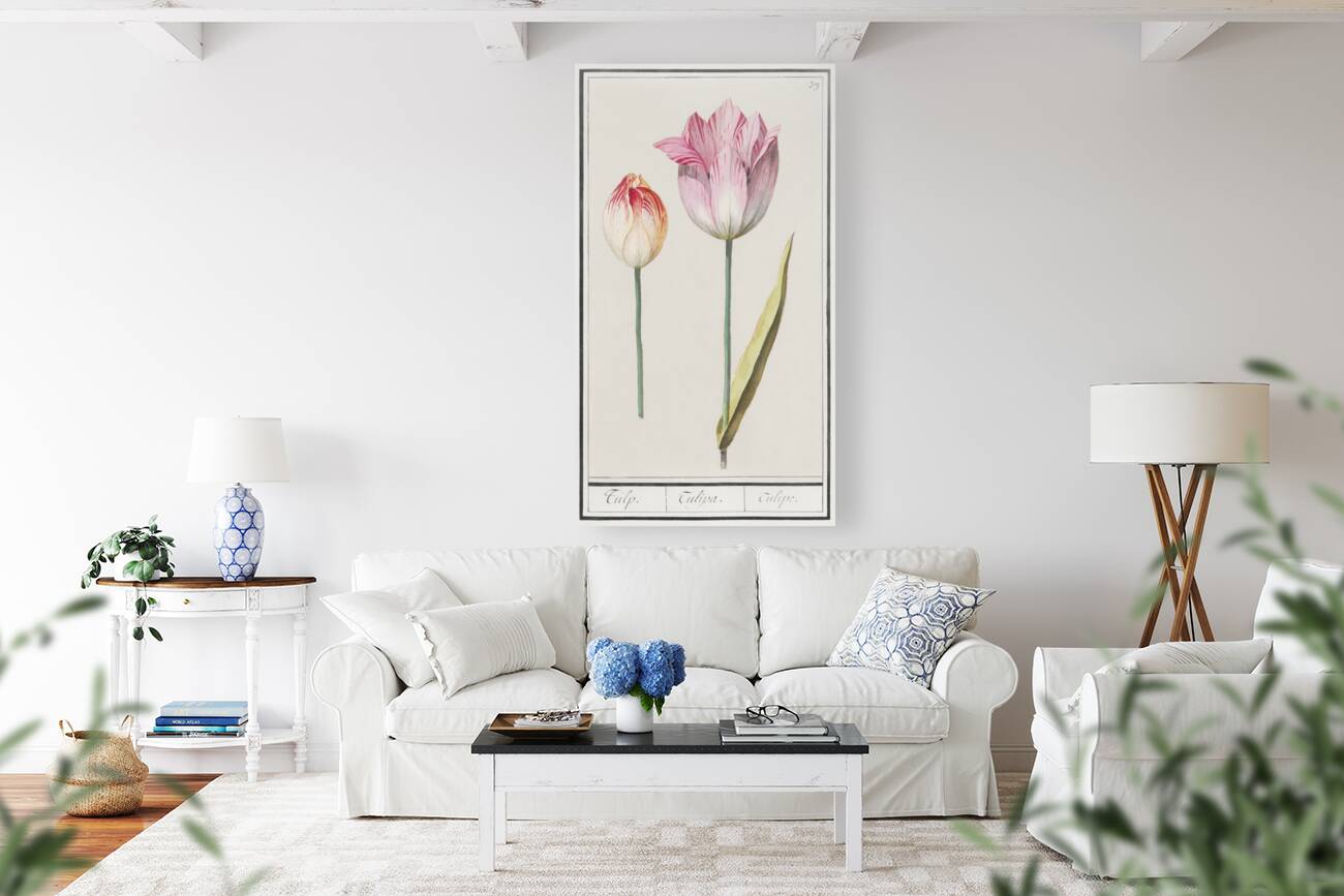 Anemone in vintage style Reproduction