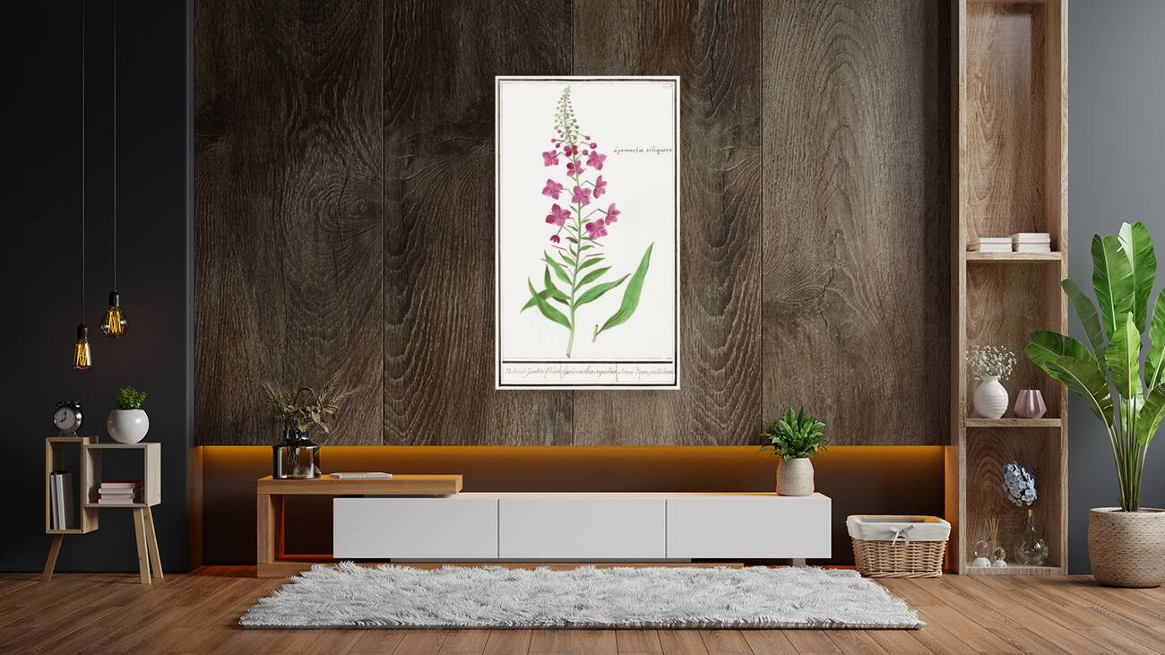 Willowherb in vintage style Reproduction