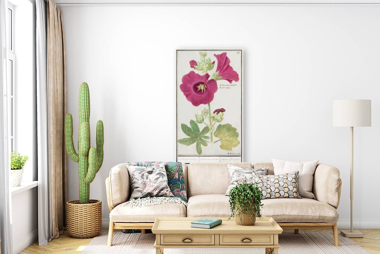 Alcea in vintage style Reproduction