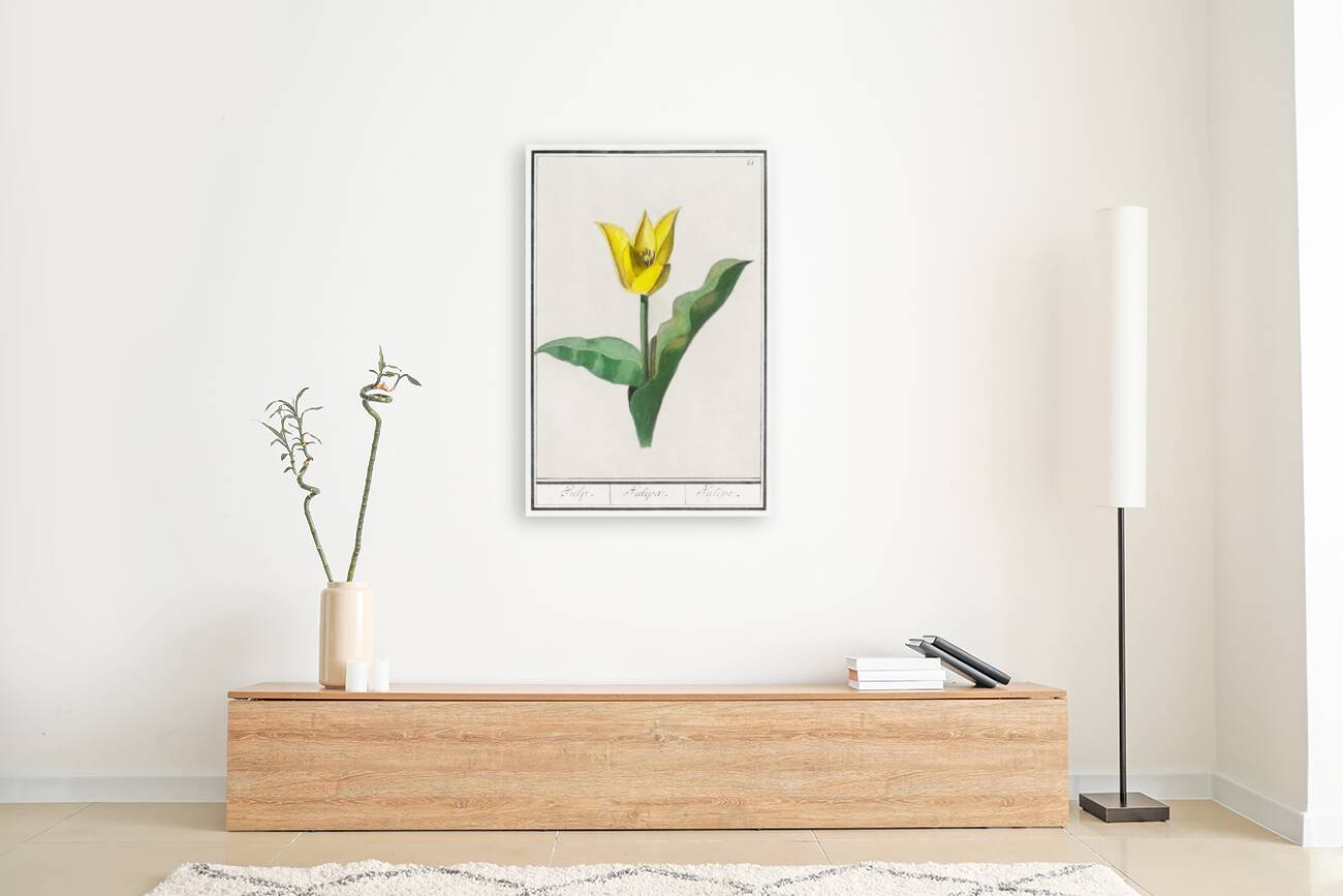 Tulip in vintage style Reproduction