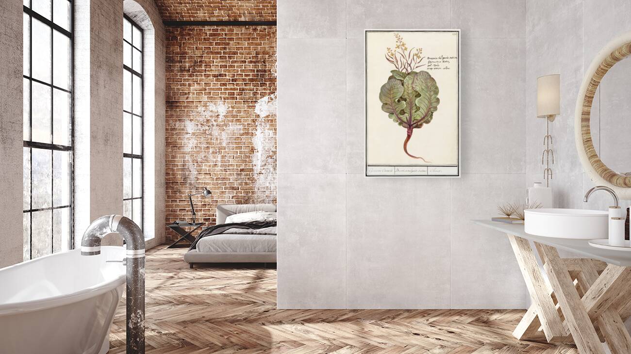 Cabbage in vintage style Reproduction