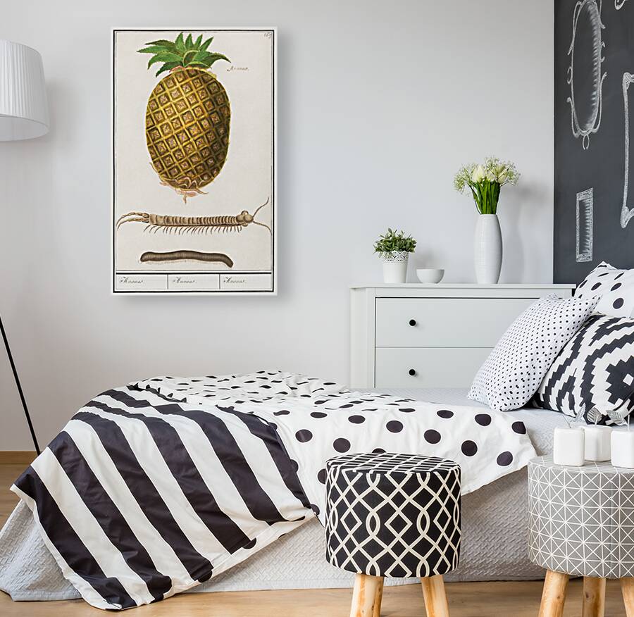 Pineapple in vintage style Reproduction