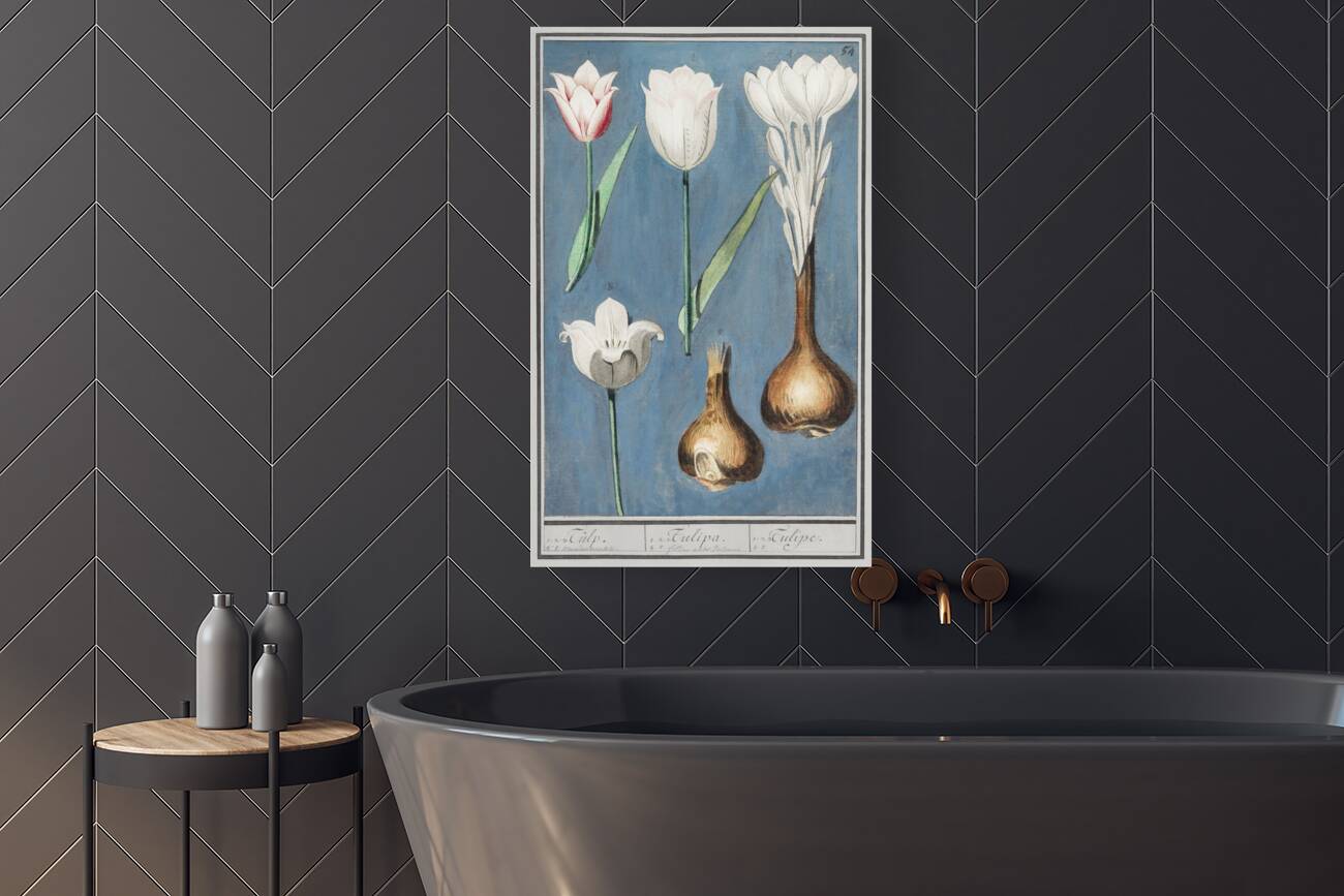 Tulip in vintage style Reproduction