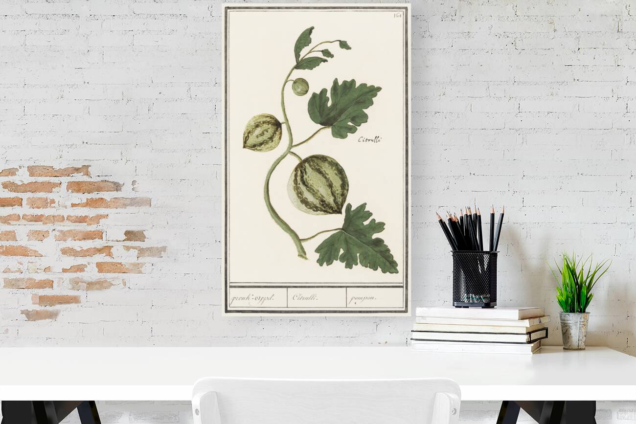 Watermelon in vintage style Reproduction