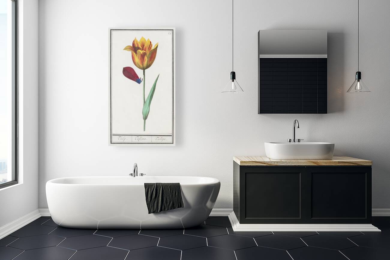 Tulip in vintage style Reproduction