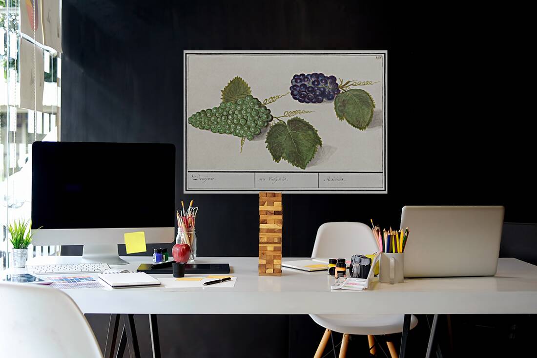 Grapes in vintage style Reproduction