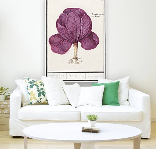 Red cabbage in vintage style Reproduction