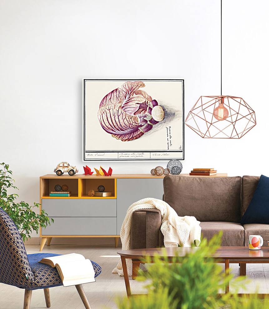 White cabbage in vintage style Reproduction