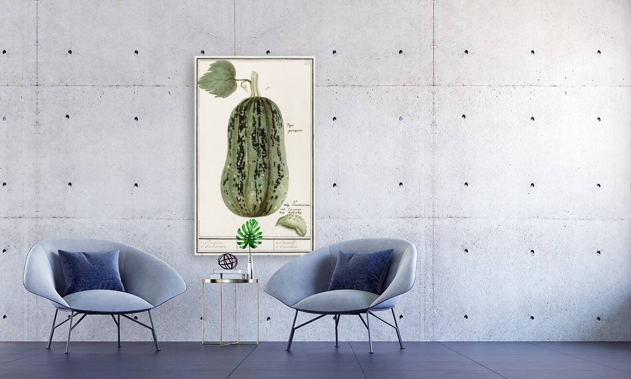 White cabbage in vintage style Reproduction