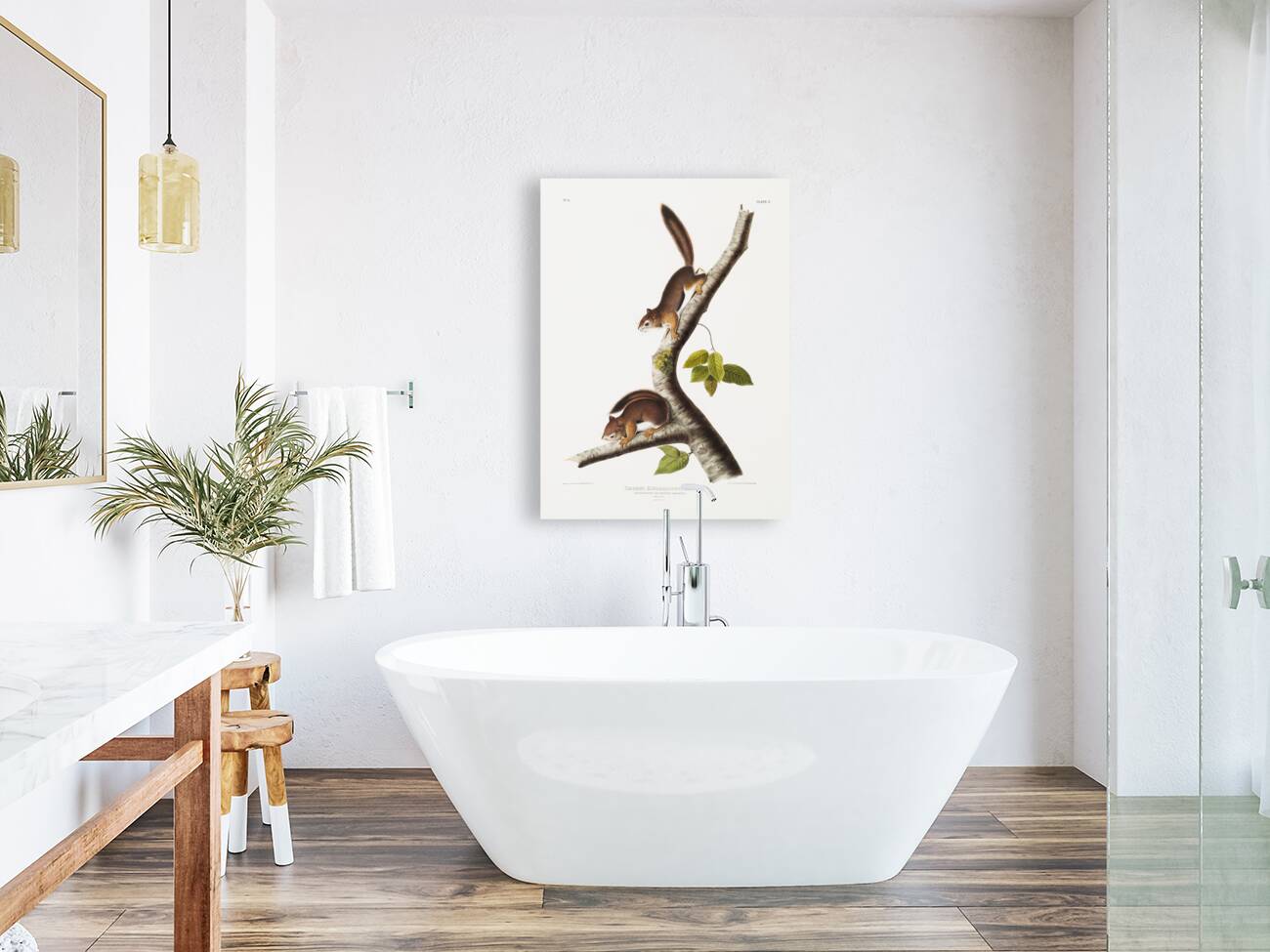 Ground Squirrel Tamias Townsendii  Reproduction