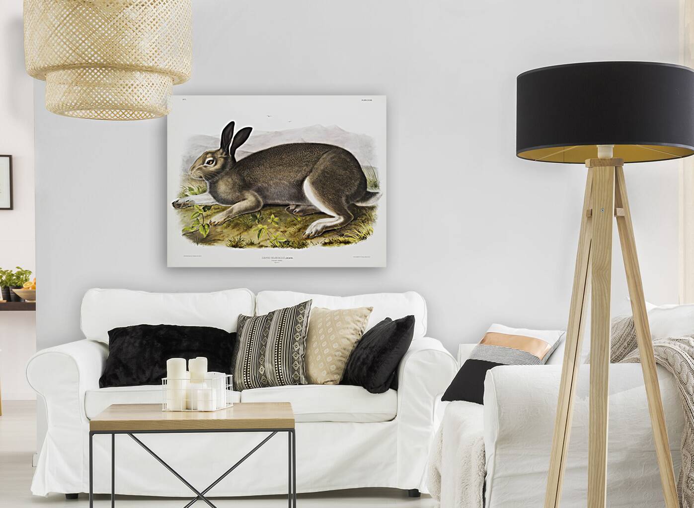 Polar Hare Lepus glacialis  Reproduction