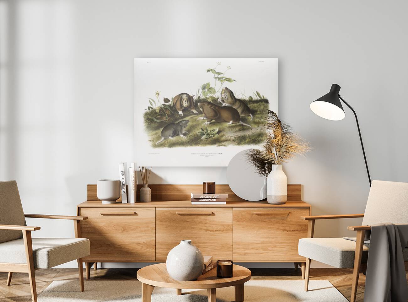 Canada Pouched Rat Pseudostoma bursarius  Reproduction