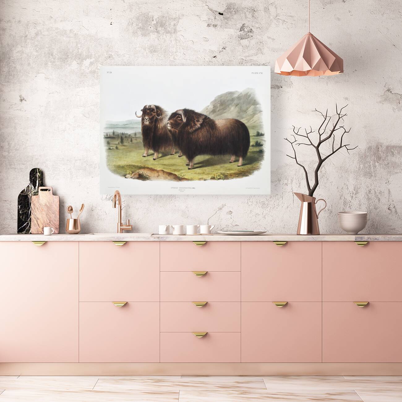 Musk Ox Ovibos moschatus  Reproduction