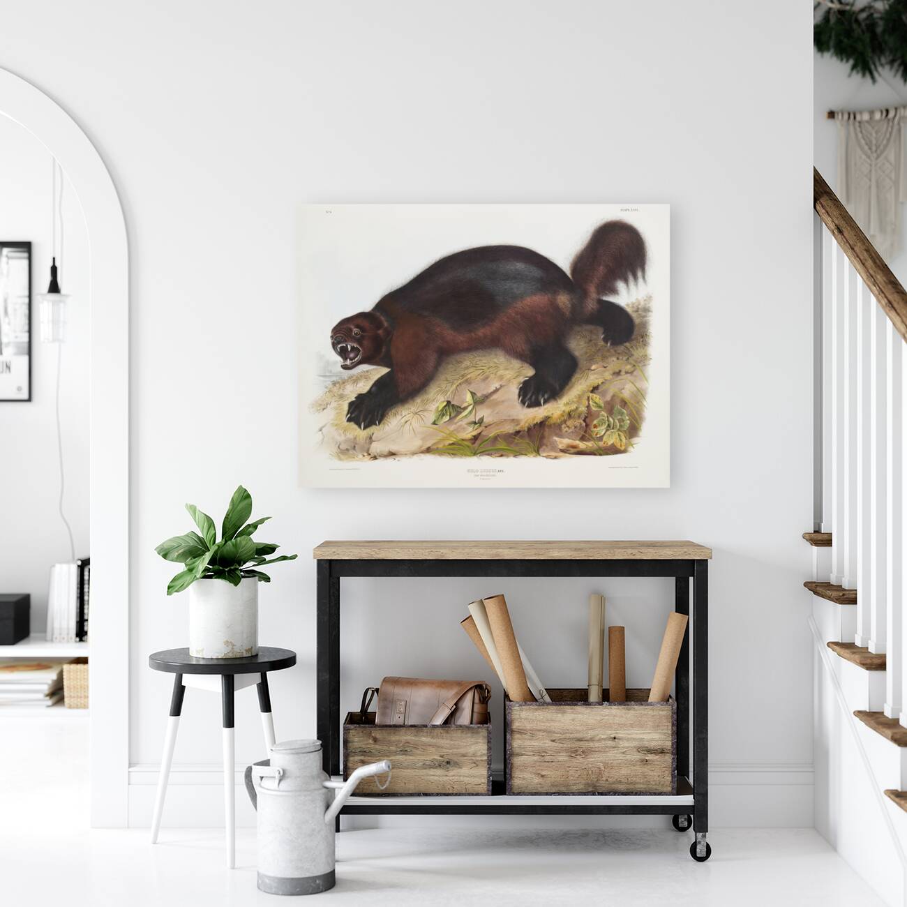 Wolverine Gulo luscus  Reproduction