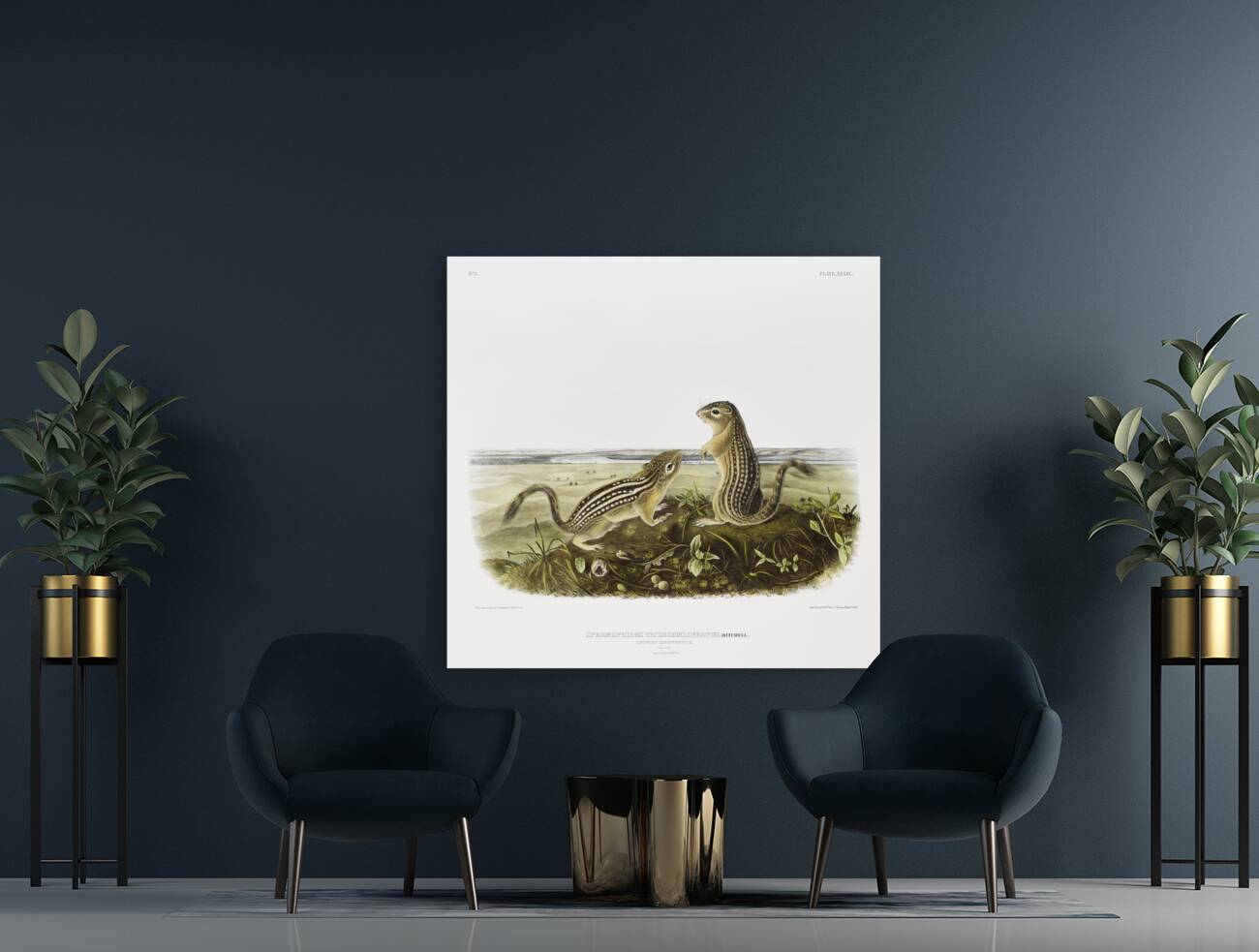 Leopard Spermophile Spermophilus tridecemlineatus  Reproduction