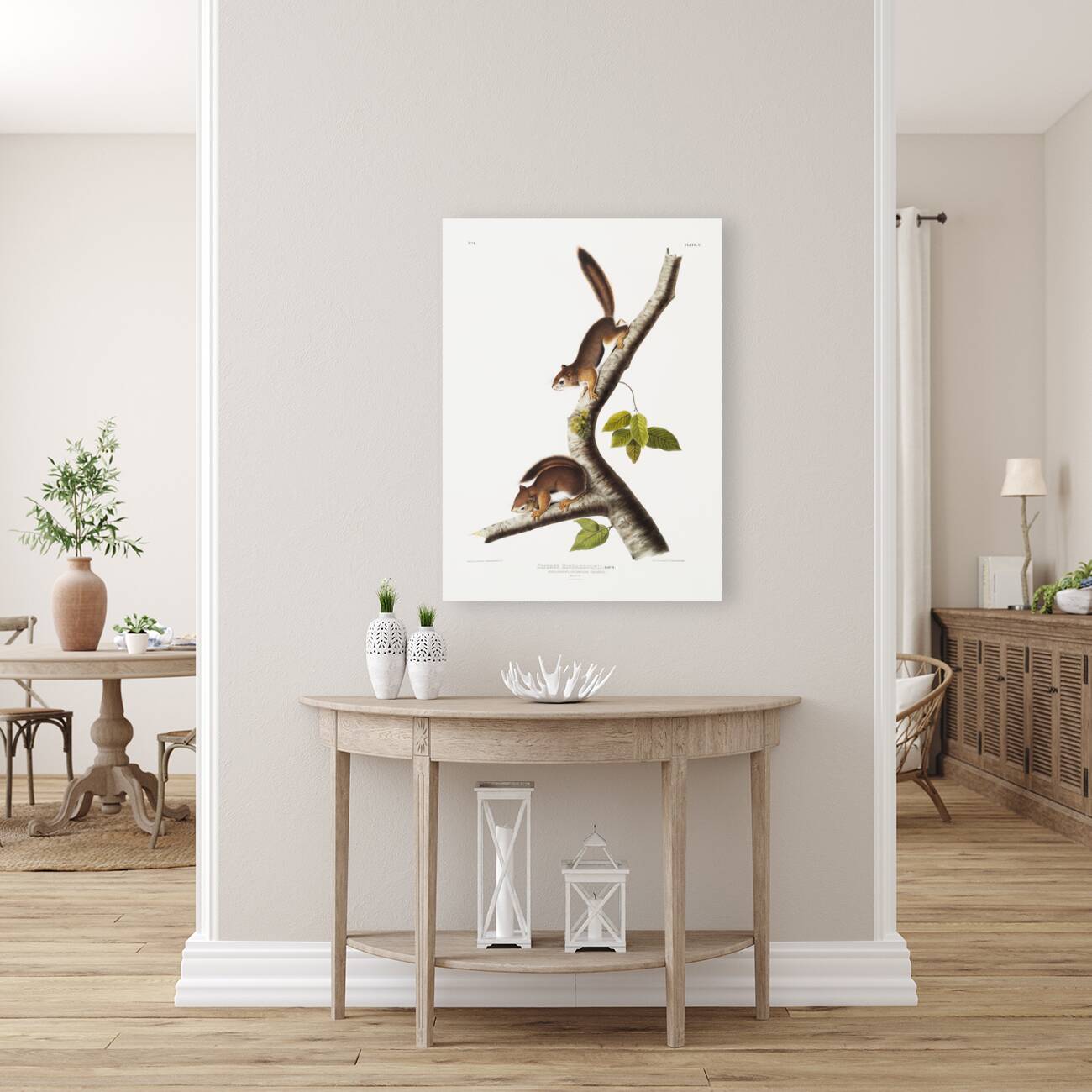 American wild cat Lynx rufus  Reproduction