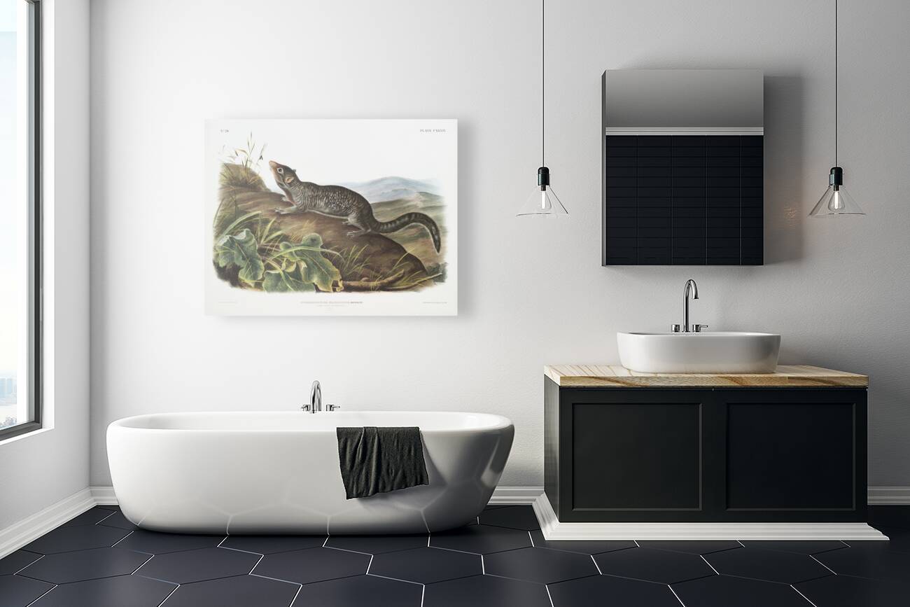 Large-tailed Spermophile Spermophilus macrourus  Reproduction