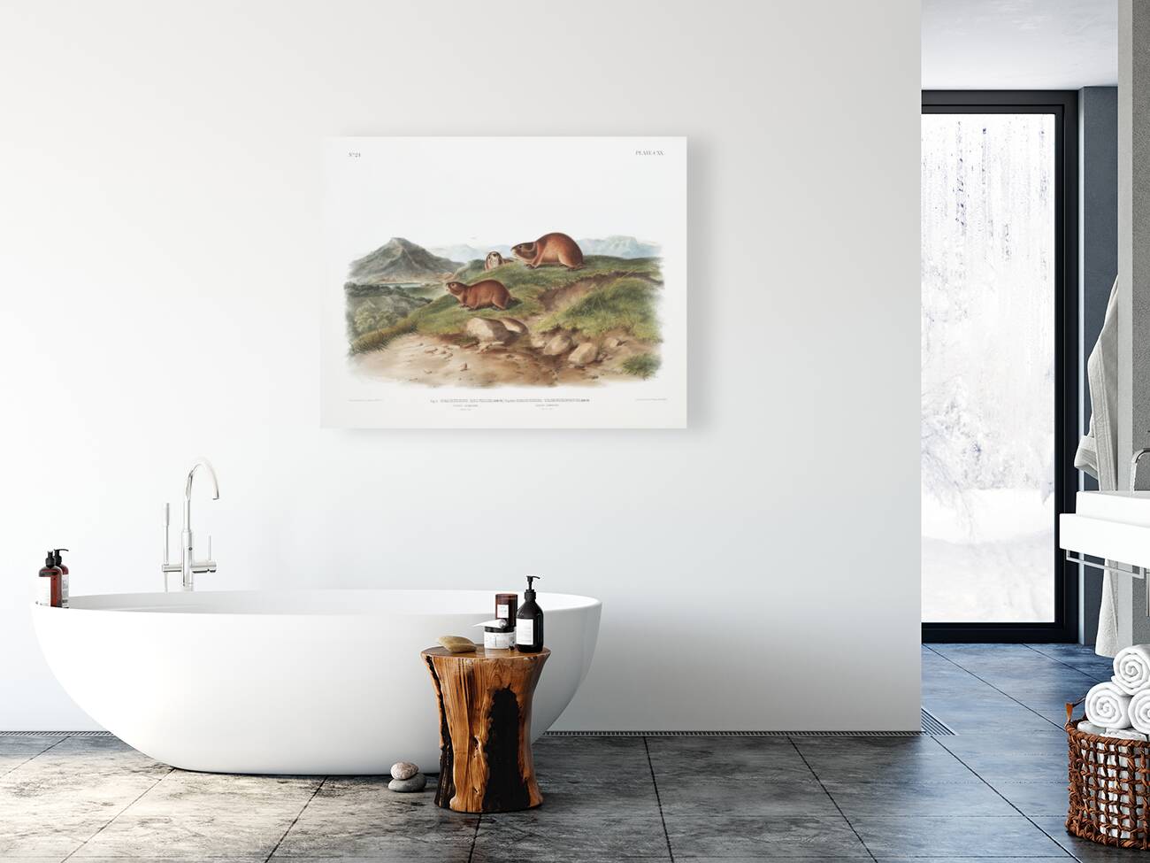 Tawny Lemming Georychus helvolus  Reproduction