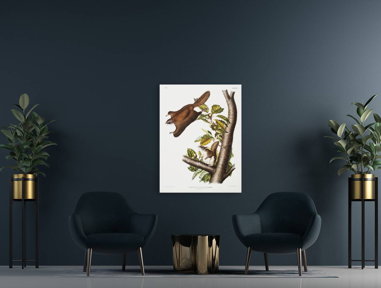 Cougar Felis concolor  Reproduction