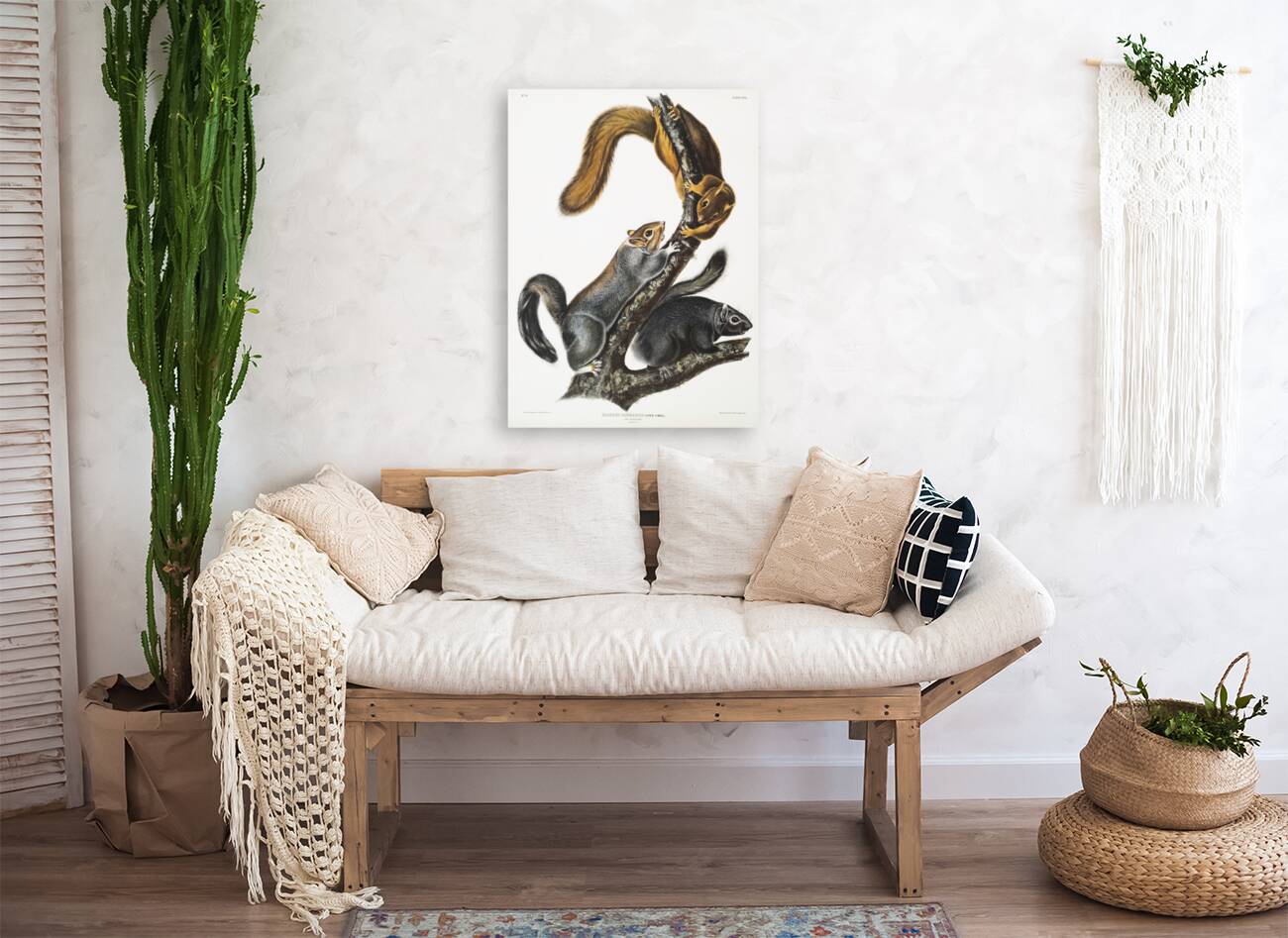 Cat Squirrel Sciurus cinereus  Reproduction