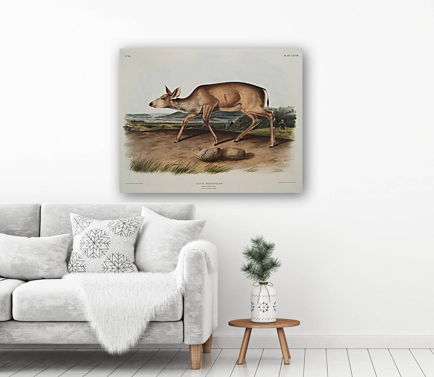 Black-tailed Deer Cervus macrotis  Reproduction