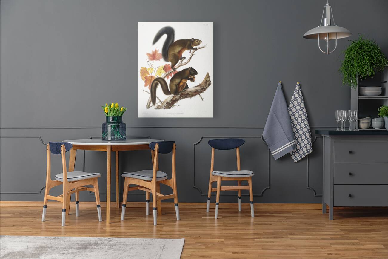 Long-haired Squirrel Sciurus longipilis  Reproduction