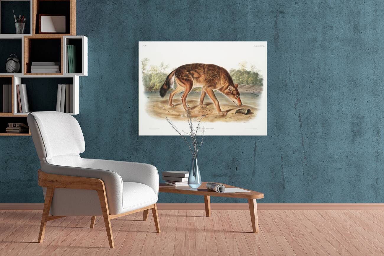 Red Texan Wolf Canis lupus  Reproduction