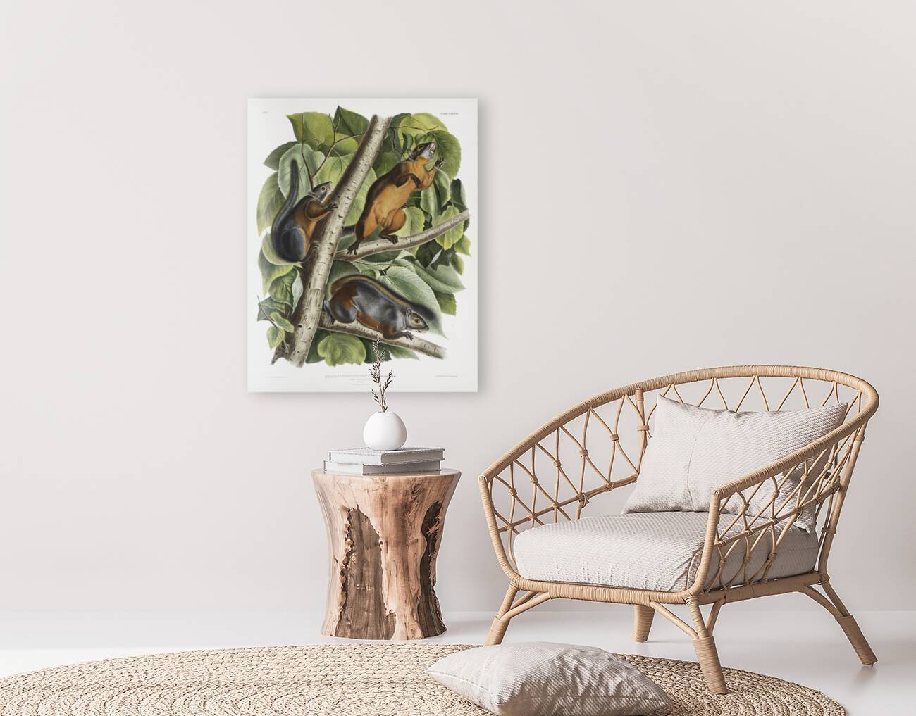 Red Texan Wolf Canis lupus  Reproduction