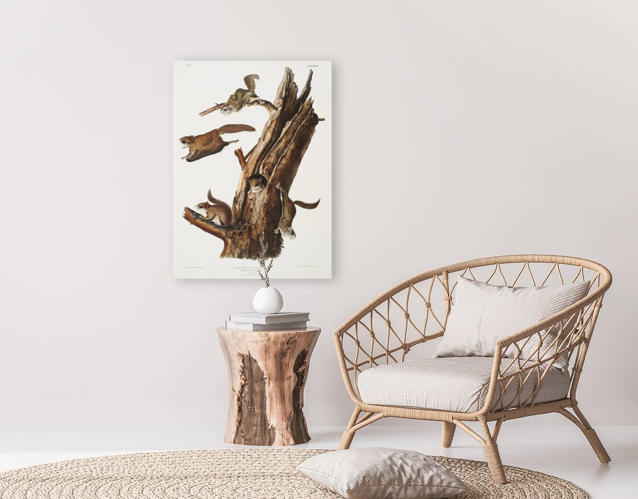 Flying Squirrel Pteromys volucella  Reproduction